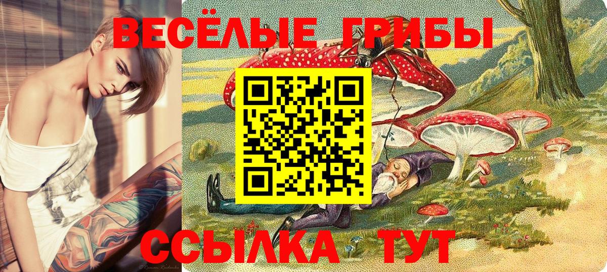Галлюциногенные грибы Psilocybine cubensis Электросталь