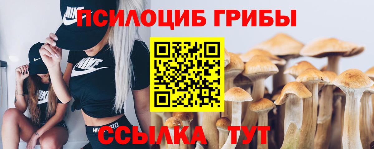 Электросталь  Галлюциногенные грибы GOLDEN TEACHER  Вход с VPN 